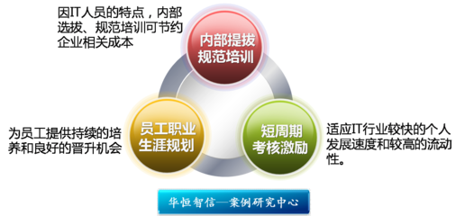 因地制宜 構(gòu)建高效IT部門(mén)人力資源管理新模式