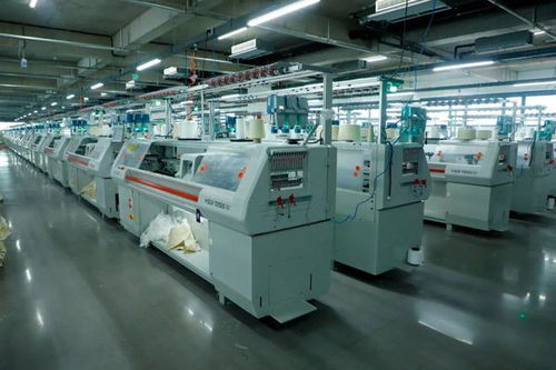 邢臺因地制宜探索 共享智造 新路徑