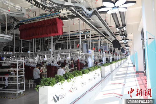 江西省人大代表楊育星 引導企業從 制造 到 智造